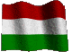 Magyar nyelvet